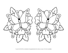 Ausmalbild-Schmetterling 13.pdf